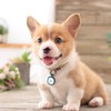 Pawaii Silent Silicone Dog ID Tag, Modifiable Pet Online Profile
