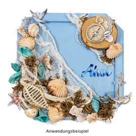 Potpourri | Shells | 450 g | Natural | Various Shell Types