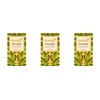 (3 PACK) - Pukka Herbs - Triple Ginger Tea |