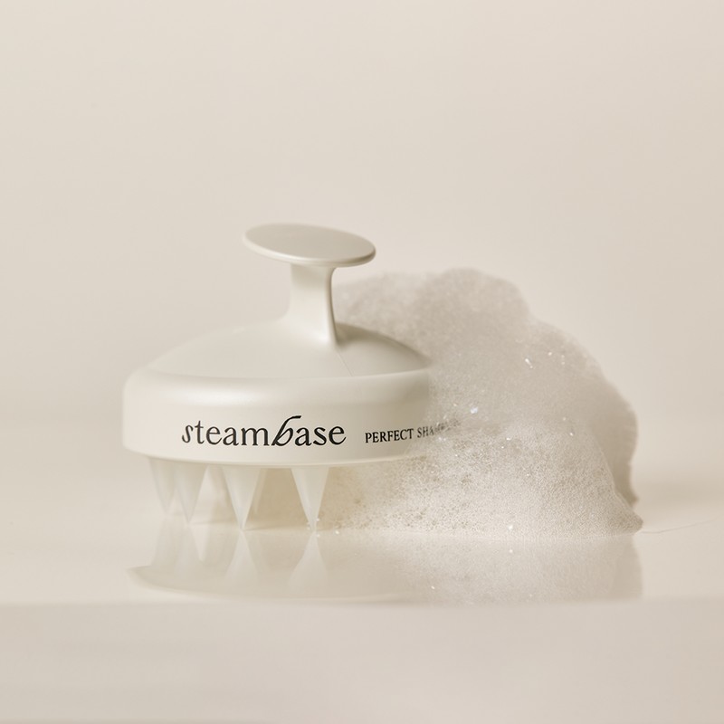 steam base Perfect Shampoo Brush Scalp Scaling Scalp Cooling 55g