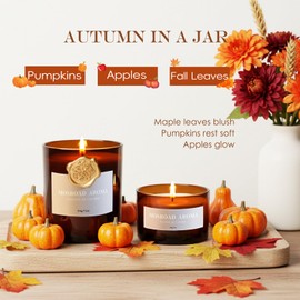 MOSROAD 2-Pack Set Autumn Wreath Scented Candles, Pumpkin Scents Jar Candle for Home, Natural Soy Aromatherapy Candles, Cozy Fall Décor Holiday Fragrance Candle Gift for Women,Men