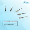 Punta dental mixta P1 10 ajuste de escala EMS, pájaro