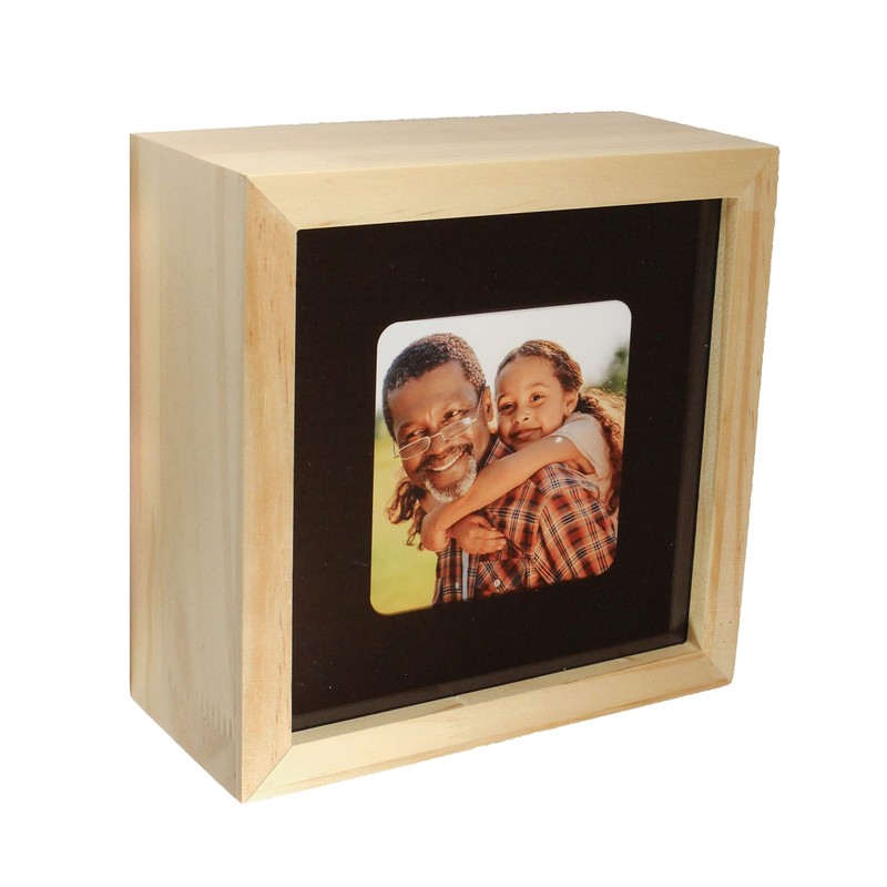 Conceal-a-Cam Home Security Camera Enclosure - Black