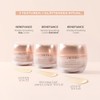 Shiseido Wrinkle Smoothing Day Cream Spf23 50 ml