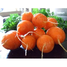 HeirloomSupplySuccess 50 Heirloom Parisian Carrot Seeds