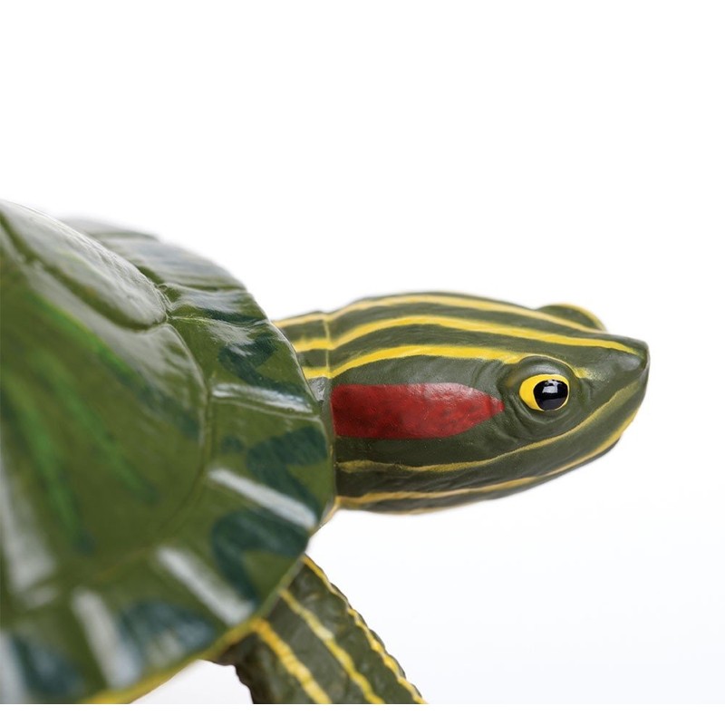 Safari (サファリ) ミシシッピーアカミミガメ ミドリガメ フィギュア インクレディブルクリーチャーズ 1:2スケールモデル 269529