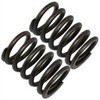 NEM Honda GX140, GX160, GX200 Valve Spring Set