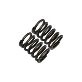 NEM Honda GX140, GX160, GX200 Valve Spring Set