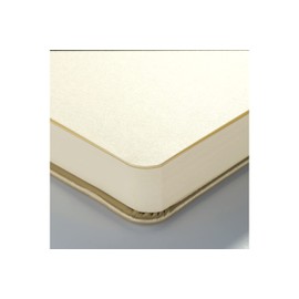 Talens Art Creation Sketchbook 80 Sheets, 21 cm x 30 cm, White Gold