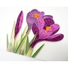 Wow Crocus Flower Bulbs - Quilling Greeting Card for All