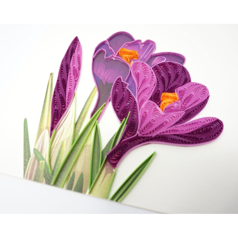 Wow Crocus Flower Bulbs - Quilling Greeting Card for All