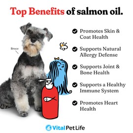 Salmon Oil for Dogs & Cats - Healthy Skin & Coat, Fish Oil, Omega 3 EPA DHA, Liquid Food Supplement for Pets, All Natural, Supports Joint & Bone Health, Natural Allergy & Inflammation Defense, 16 oz