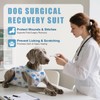 Abuandi Traje de recuperación para Perro, Talla XS HT