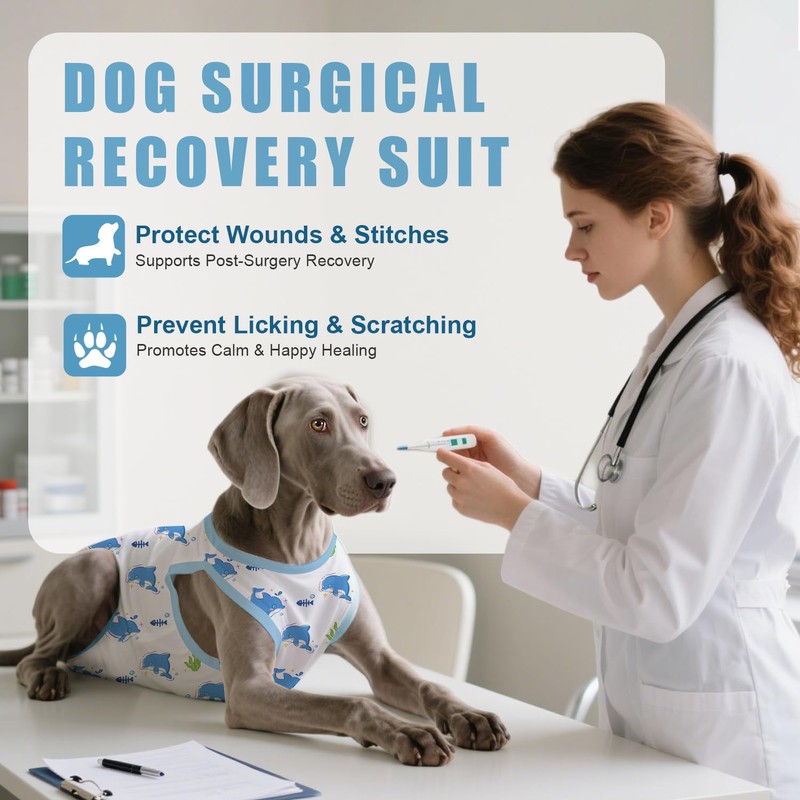 Abuandi Traje de recuperación para Perro, Talla XS HT