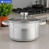 Daniks Standard Stainless Steel Stock Pot with Glass Lid –
