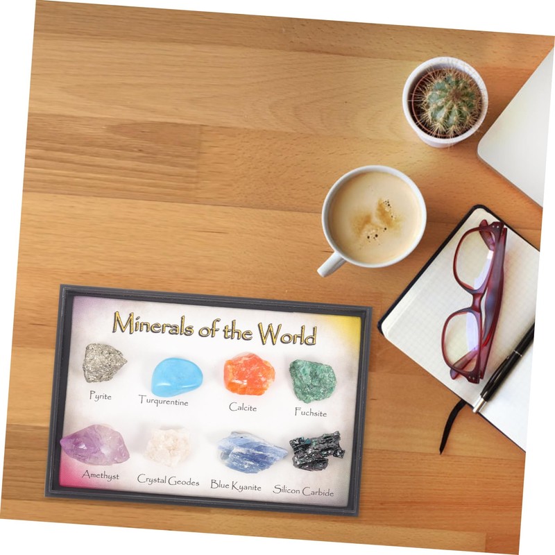 ULTECHNOVO 1set Natural Stone Specimen for Educational Use Unique Irregular