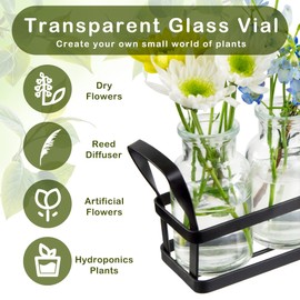 jkwokback Propagation Stations Indoor Decor Planters Terrarium with Stand,Propogation Planter Glass with 5 Air Plant Terrarium for House Plants Hydroponic Home Garden Office Decoration