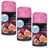 fresh & more Air Freshener Refill Blackberry and Fig 250