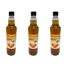 Joe’s Syrup Organic Flavored Syrup, Organic Caramel, 750 ml (3 Pack)