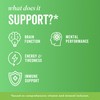 Grass & Co. Grass & Co | Focus Lion's Mane