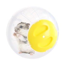 Gymnastics Ball, Hamster Ball, Large 14.5 cm, Hamster Wheel Exercise Ball, Plastic, Hamster Run Ball, Hamster Ball for Gerbil, Dwarf Hamsters, Guinea Pigs, Pet Jogging Play (Yellow)