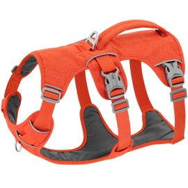 Beirui Escape Proof Dog Harness,Soft Padded Dog Vest No Pull with Lift Handle,Durable Reflective Waterproof Full Body Pet Harness for Small Medium Dogs Walking Training(Orange,Chest 12-22")