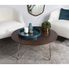 Kate and Laurel Caspen Modern Round Tray, 15.5 inch Diameter,