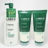 LaboH Mildly Acidic Scalp Strengthening Shampoo 400ml + Scalp Capsule