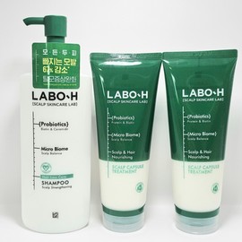LaboH Mildly Acidic Scalp Strengthening Shampoo 400ml + Scalp Capsule Hair Treatment 220ml 2pcs / 라보에이치 약산성 두피강화 샴푸 400ml +스칼프 캡슐 헤어 트리트먼트 220ml 2개