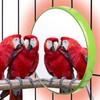MUDUOBAN Bird Heater for Cage Thermostatical Bird Warmer Heater Pad