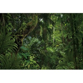 DORCEV 10x7ft Jungle Forest Photography Backdrop for Outdoorsy Camping Theme Party Background Spring Mysterious Rainforest Jungle Forest Tree Natural Scenery Kids Adult Wedding Photo Studio Props