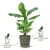 Elho Greenville Plastic Planter