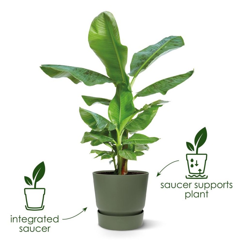 Elho Greenville Plastic Planter
