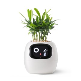 PLANTSIO Smart Pet Planter Robot Guidance Emoji Plant Care, Adorable Plant Companion with Rich Gesture Interaction, Neat Desk Setup Gift (White)