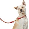 Hunter Tinnum Collar M 45 cm Red/Beige