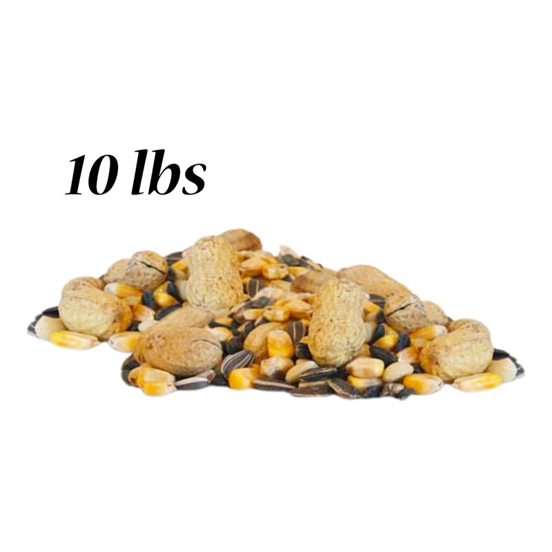 BestNest Critter Snack Seed Mix, 10 lb Bag | Blend