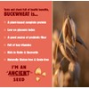 Better with Buckwheat Sea Salt Crackers, Complete Protein, Gluten-Free Crackers,