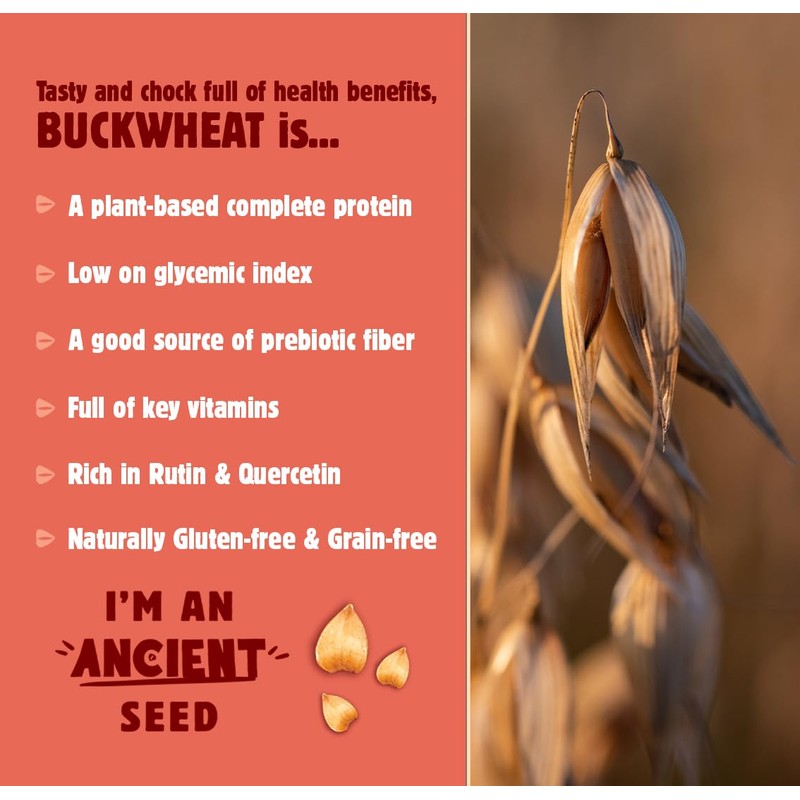 Better with Buckwheat Sea Salt Crackers, Complete Protein, Gluten-Free Crackers,