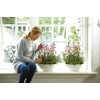 elho Brussels Diamond Oval 36 - Flower Pot for Indoor