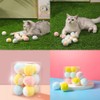 YBGGJO Cat Balls for Play, 12 Pieces, Random Rolling, Cat