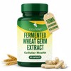 CellFend Fermented Wheat Germ Extract (1000mg) with 10mg Spermidine Per