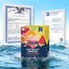 Syloni Electrolyte Powder Variety Pack - Sugar Free Hydration Mix