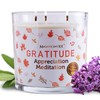 Magnificent 101 Long-Lasting Abundance Smudge Aromatherapy Candle | 14 Oz