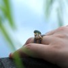 Tuwiqsdi Frog Pear Ring Fashion Jewelry 18k Gold Filled Toad