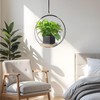 4 Pack Plant Hanger with Wood Base Hanging Window Planter