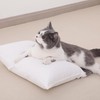 NTBAY 2 Pack Tiny Pillows, 11"x7" Microfiber Mini Pillows for