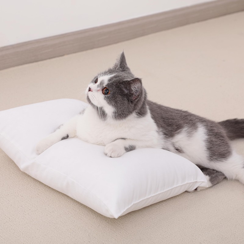NTBAY 2 Pack Tiny Pillows, 11"x7" Microfiber Mini Pillows for