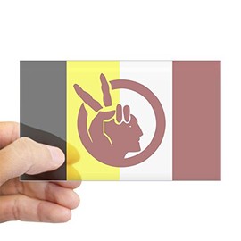 CafePress American Indian Movement Rectangle Bumper Sticker Car Decal