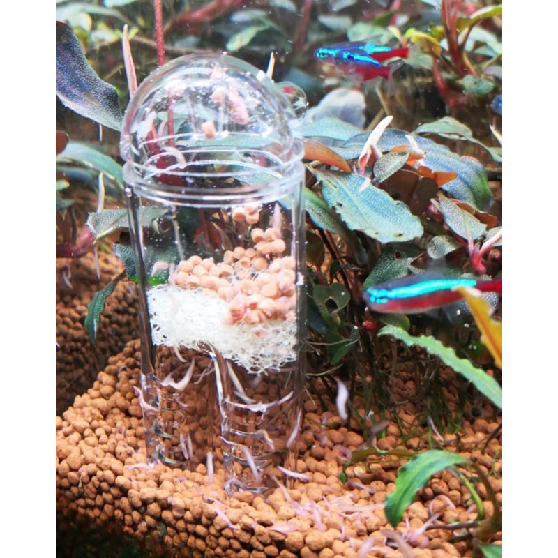HIERYAN Planaria Trap Catch, Clear Trap Catcher for Cherry Shrimp