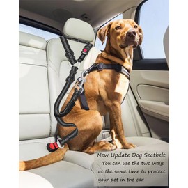 Dog Seat Belt,Updated Dual-use Dog Seatbelt for Vehicle Headrests, Dog Car Leash - Bungee Retractable Adjustable for Your Pet, Pet Safety Car Harness for Dogs Heavy Duty & Elastic (Black, Medium)